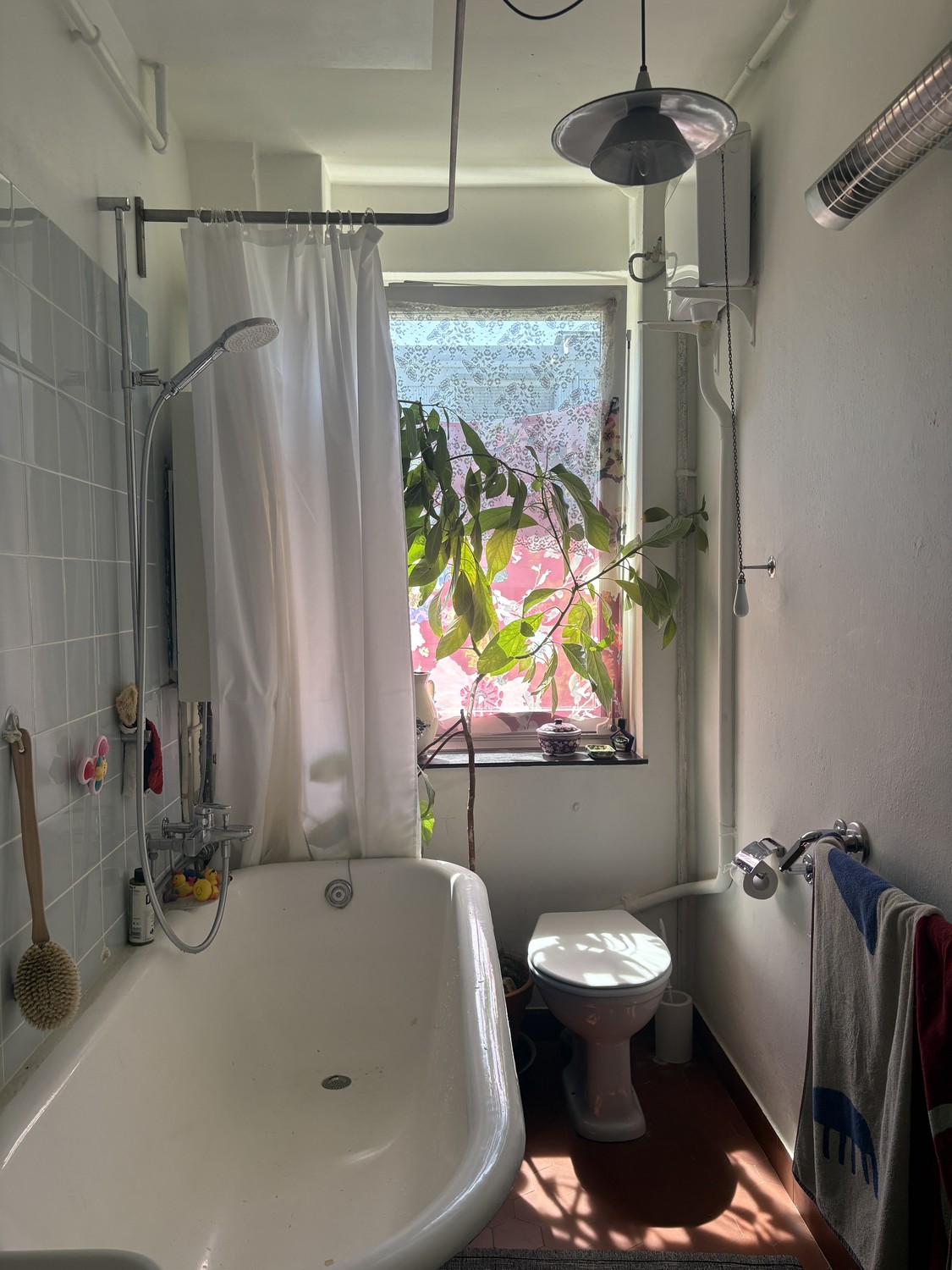 Appartamento di 3 locali, foto 7 di 10