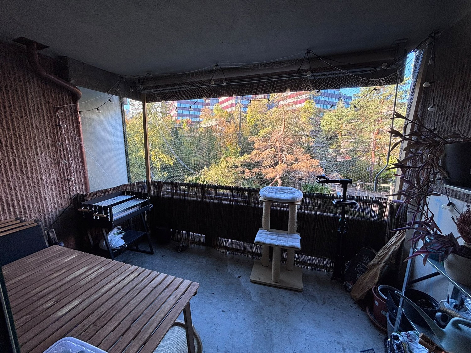 2 ½ Zimmer-Wohnung, Foto 4 von 10