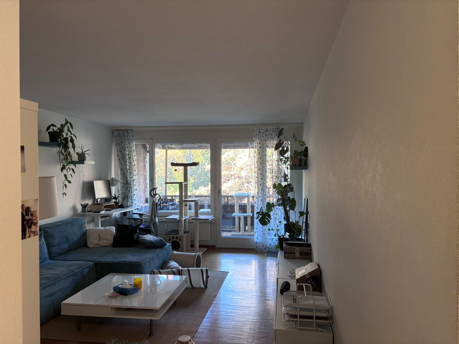 2 ½ Zimmer-Wohnung, Foto 1 von 10