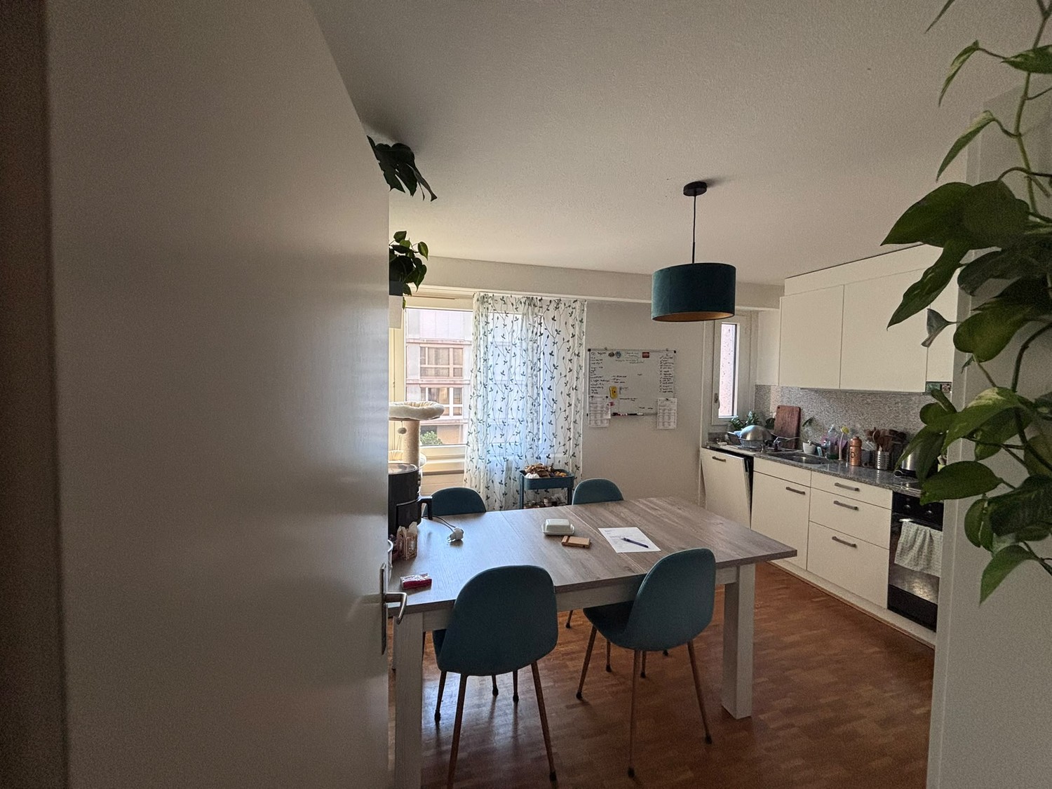 2 ½ Zimmer-Wohnung, Foto 5 von 10