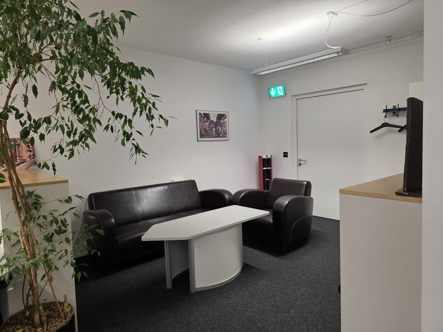 146m² commercial