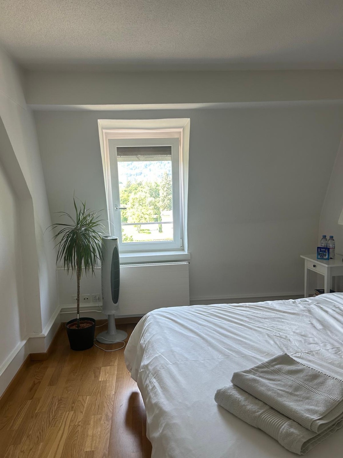 Chambre dans une colocation