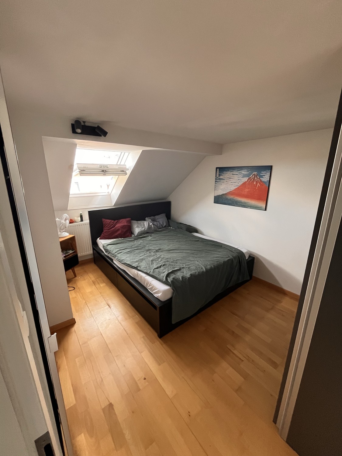 Room in a shared flat