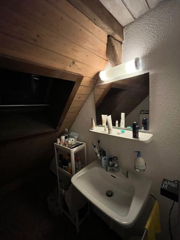 Room in a shared flat