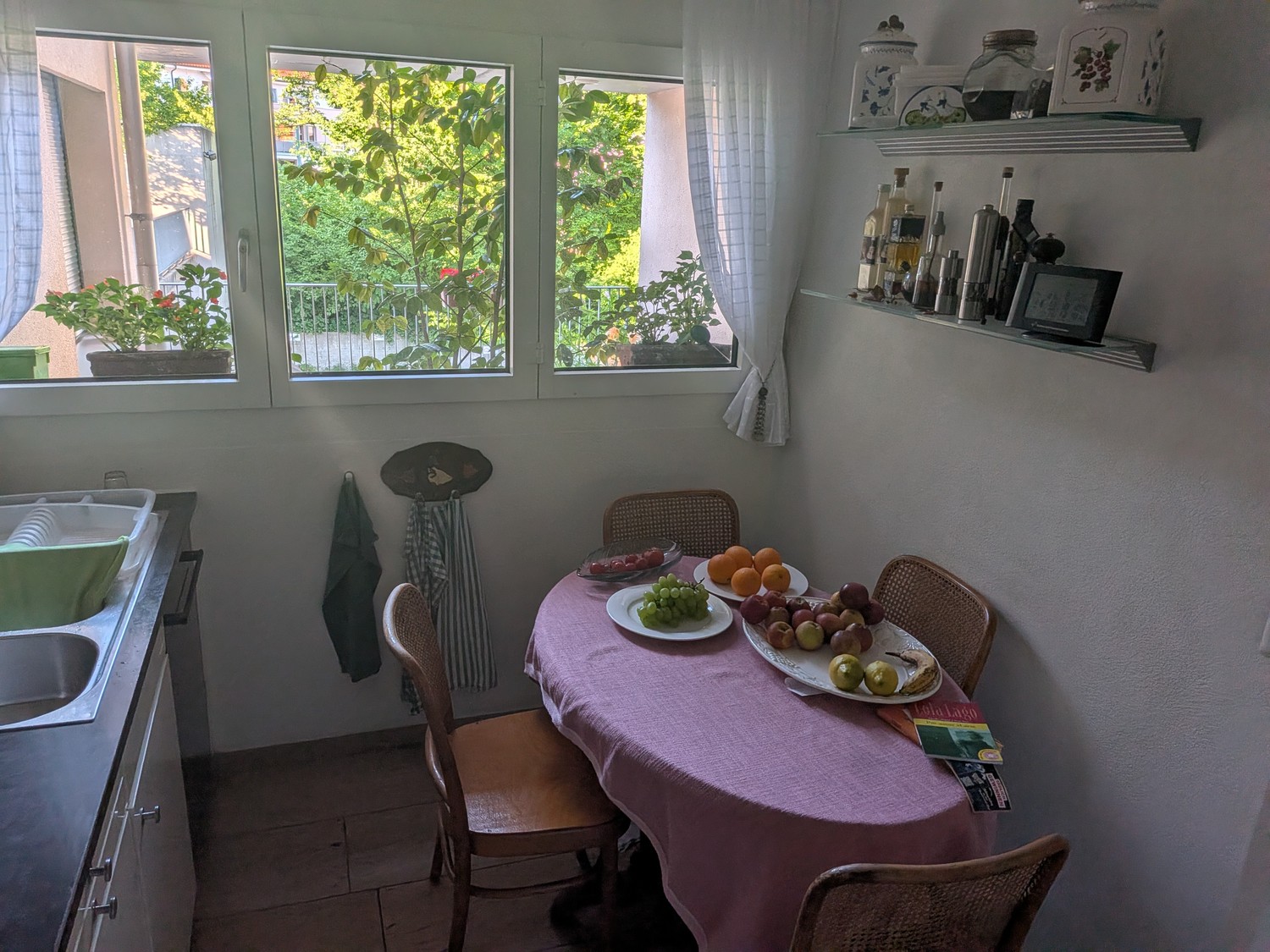 Room in a shared flat