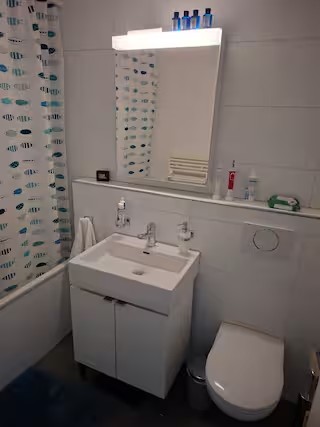 1 room apartment