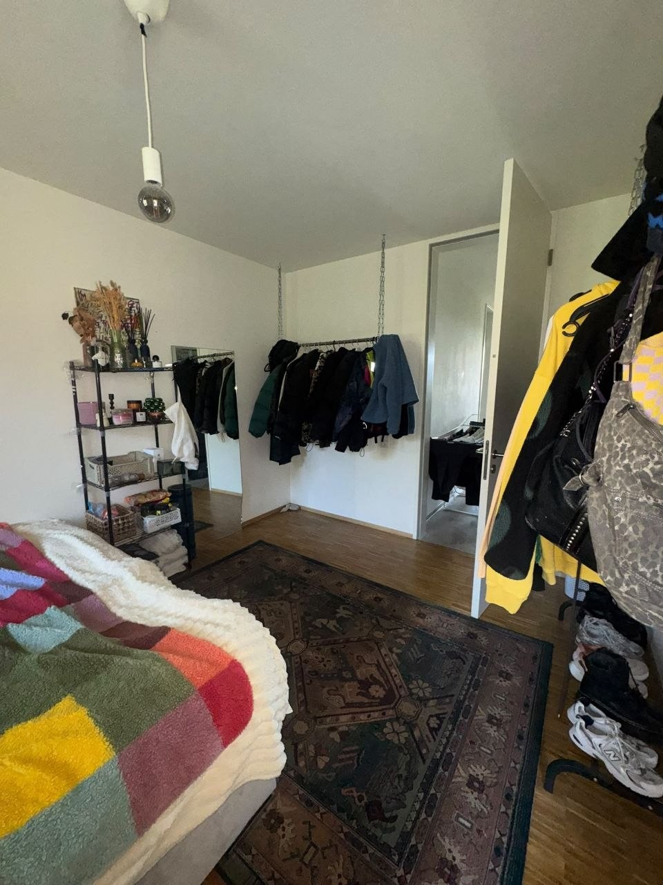 Room in a shared flat