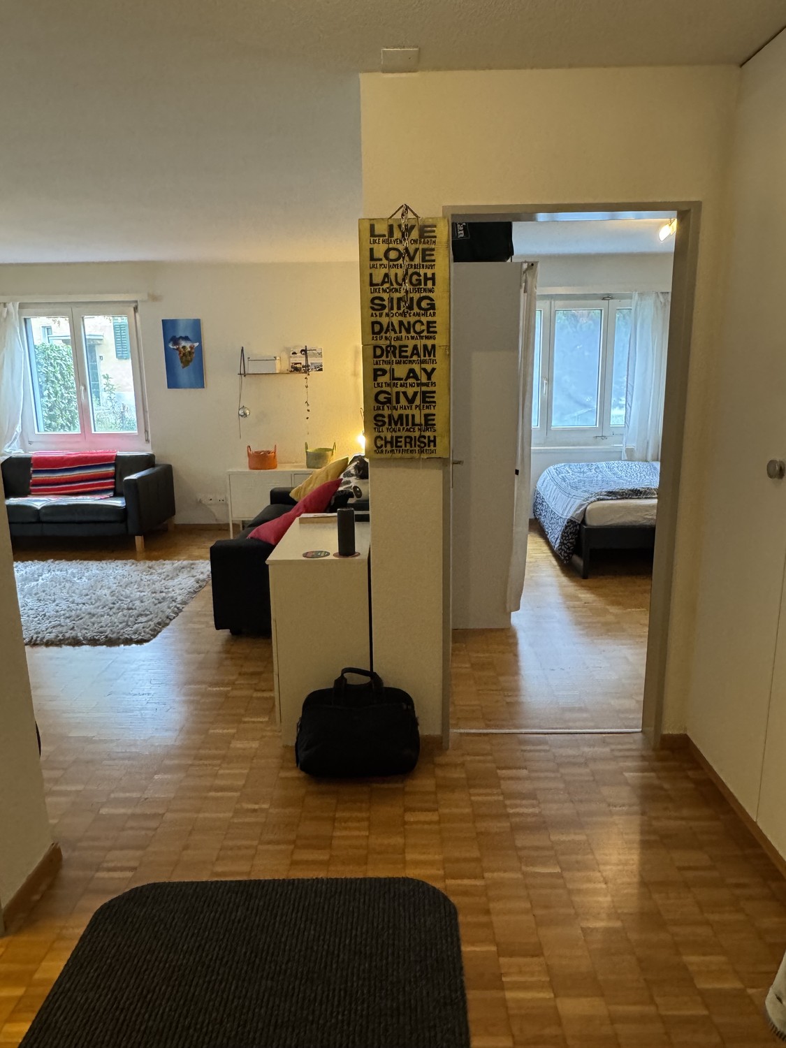 Appartement de 3 ½ pièces