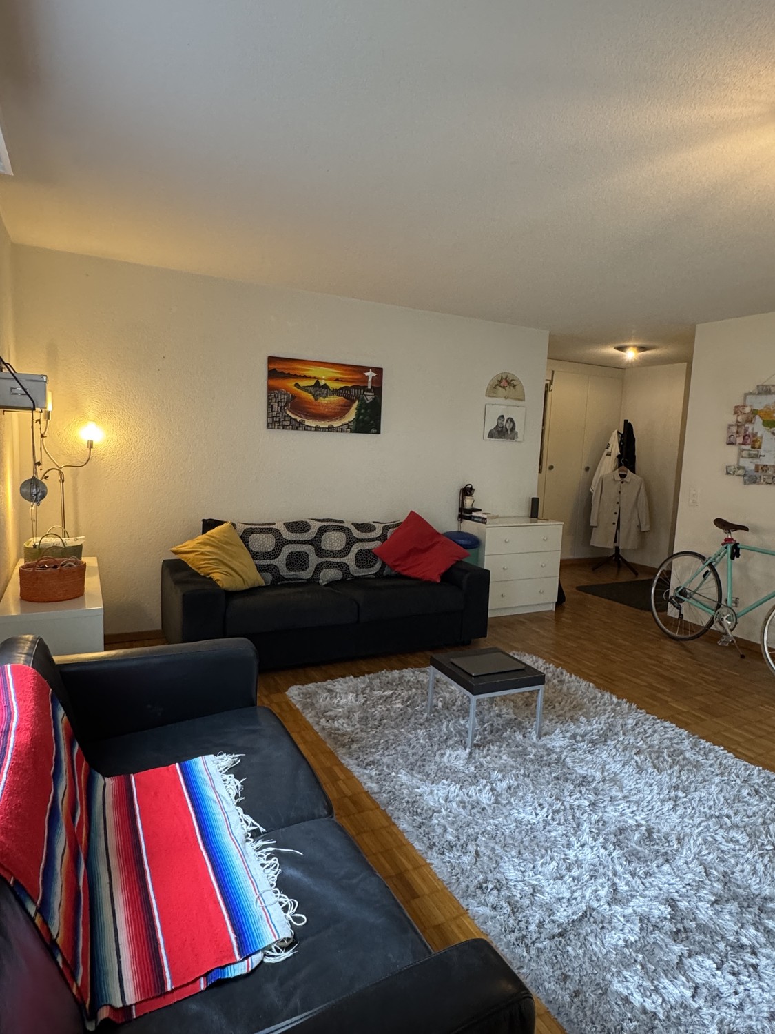 Appartement de 3 ½ pièces
