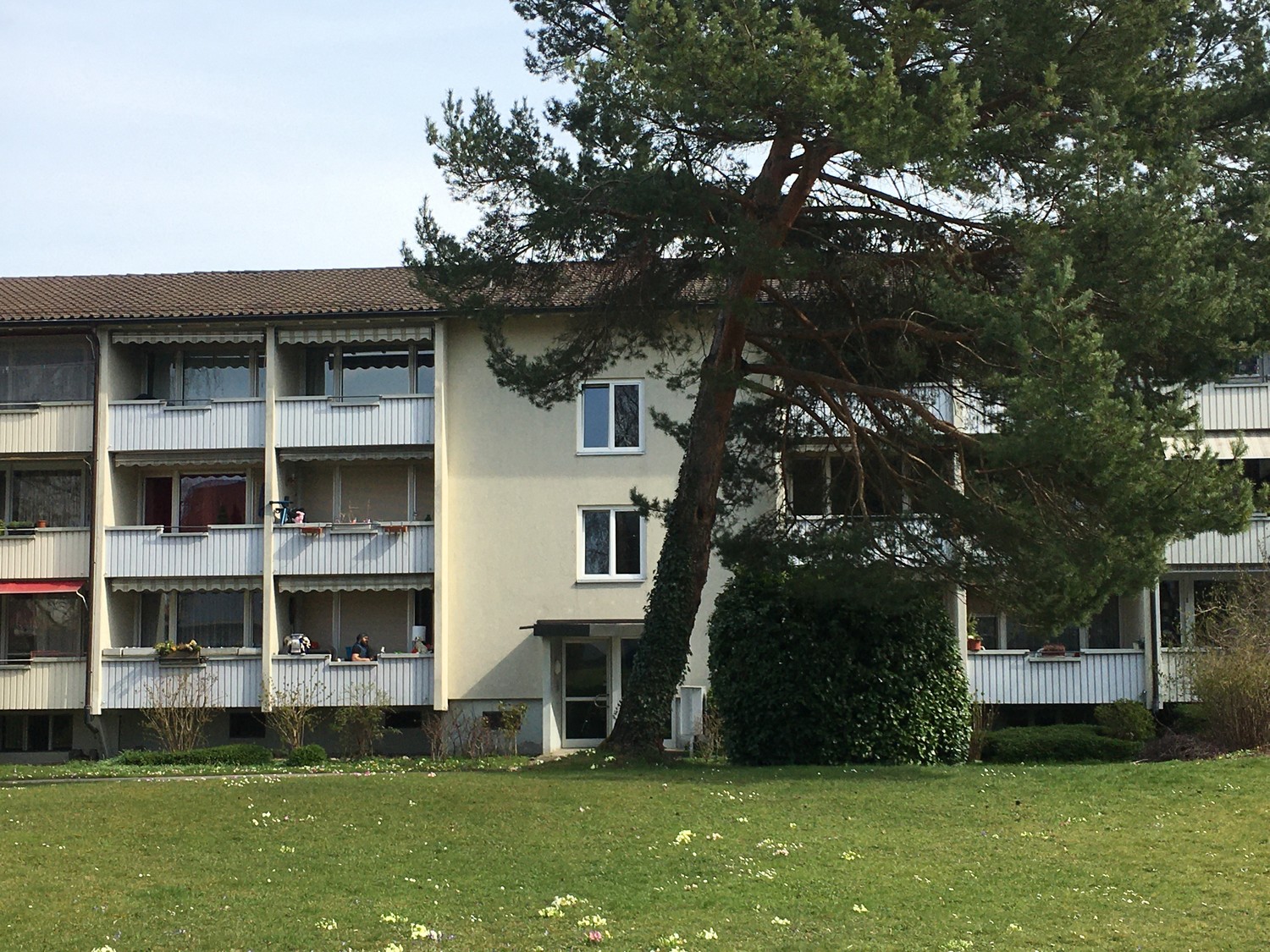 Appartement d'une pièce