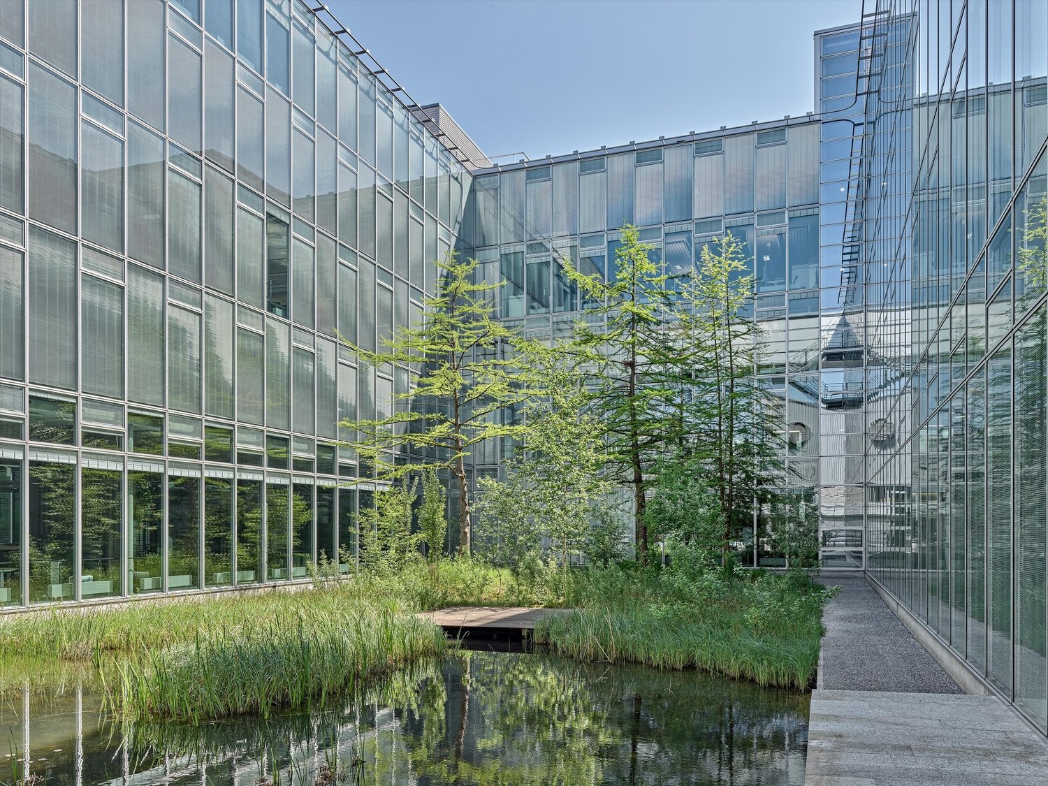 61m² office