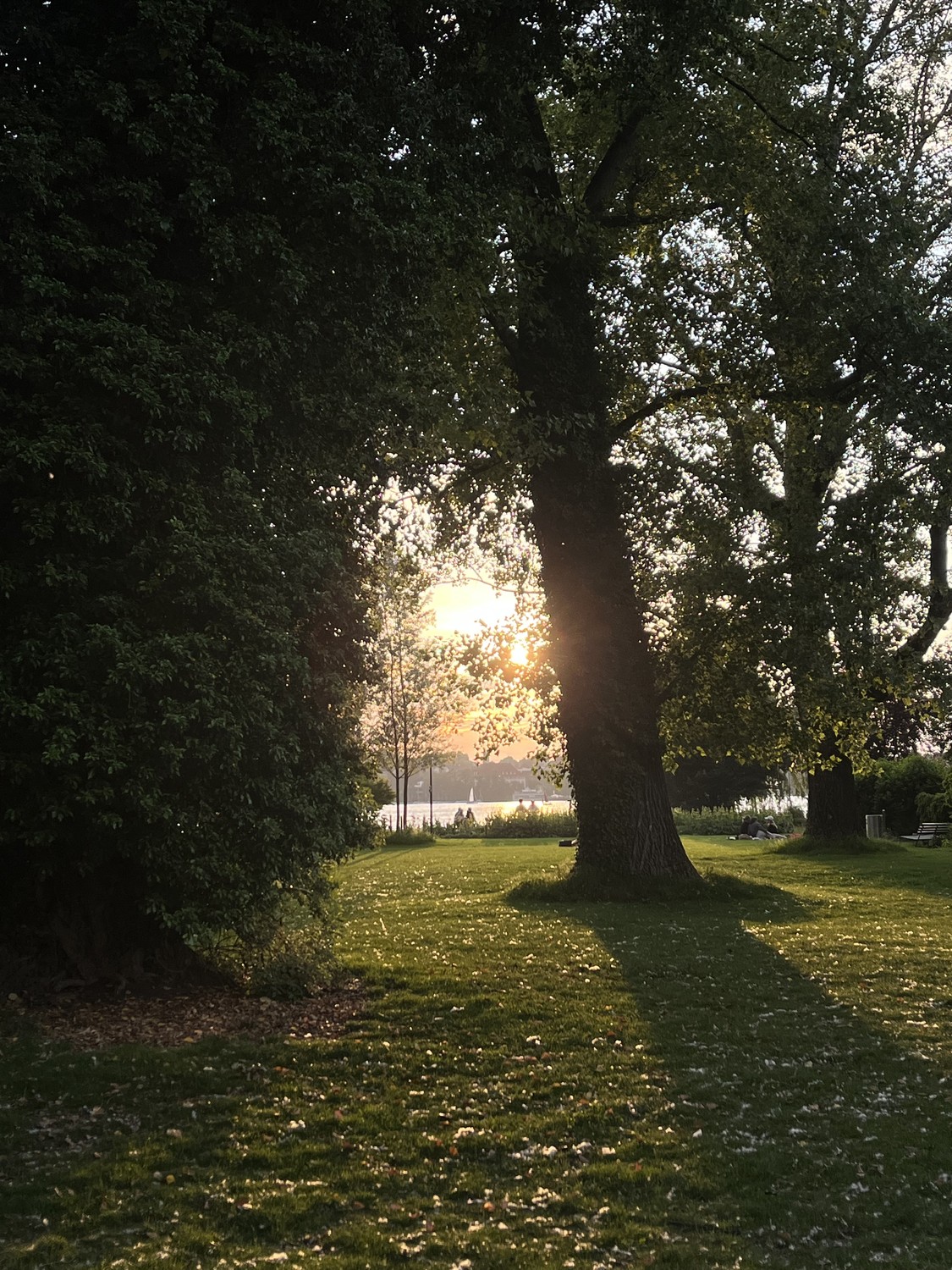 Zimmer in einer WG, Foto 4 von 5