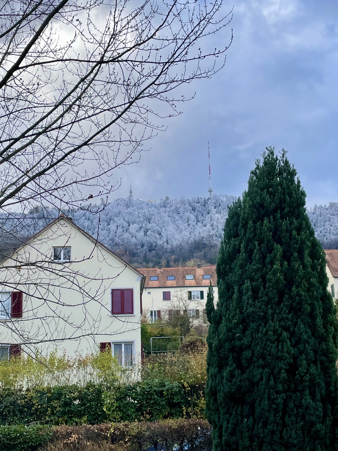 2 ½ Zimmer Wohnung