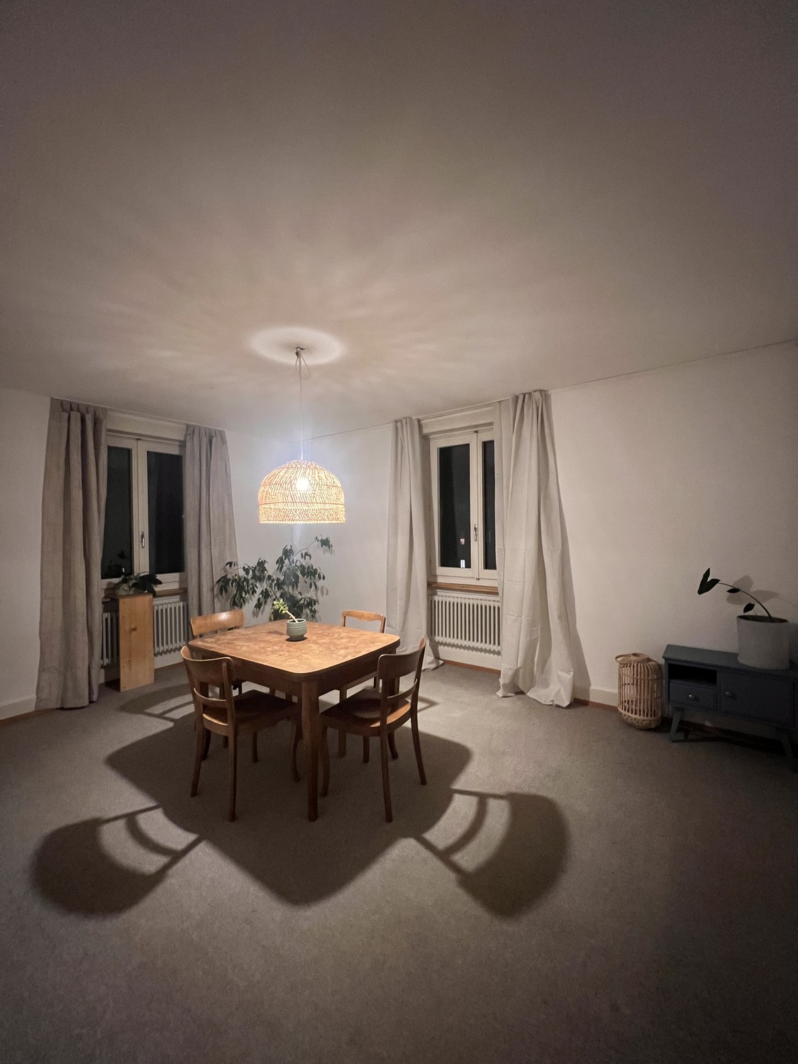 Appartement de 3 ½ pièces