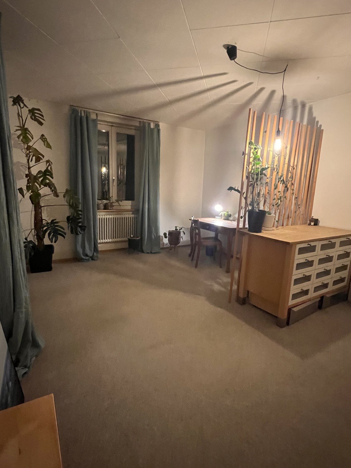 Appartement de 3 ½ pièces
