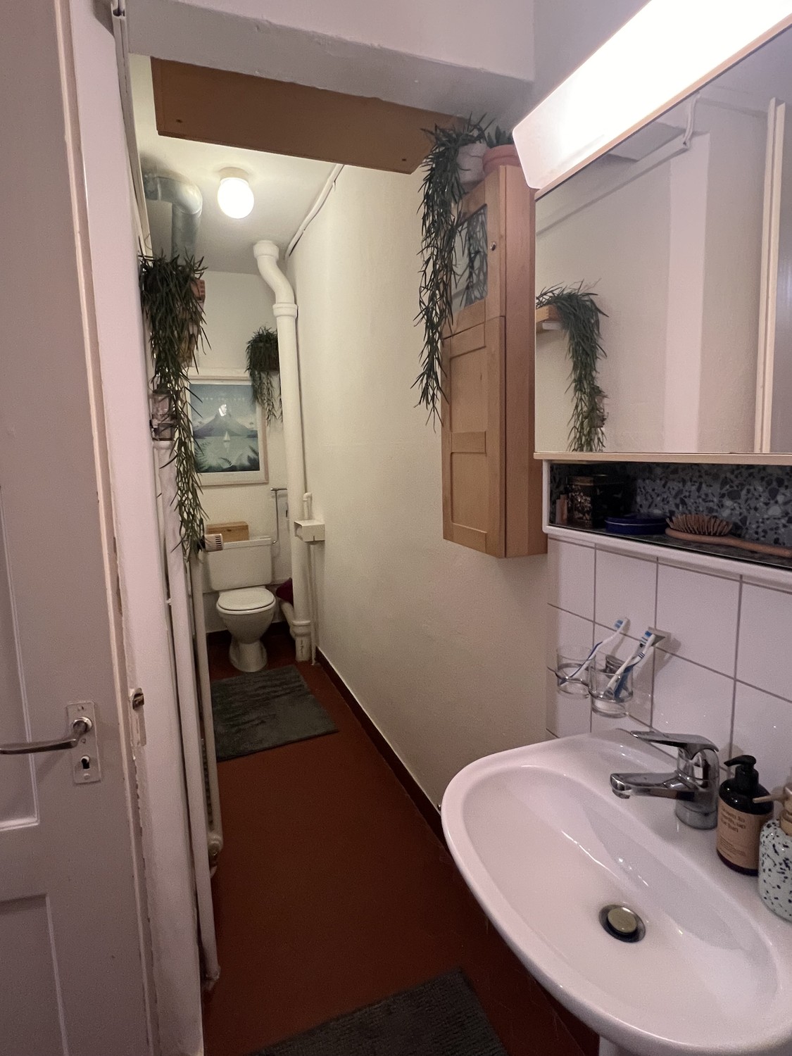 Appartement de 3 ½ pièces
