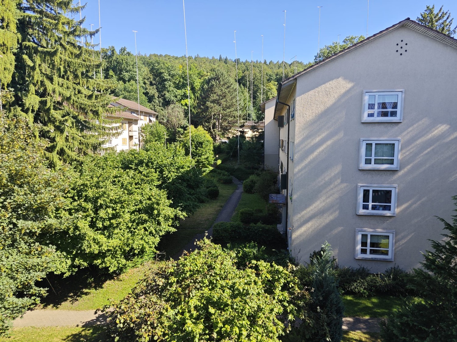 2 ½ Zimmer Wohnung
