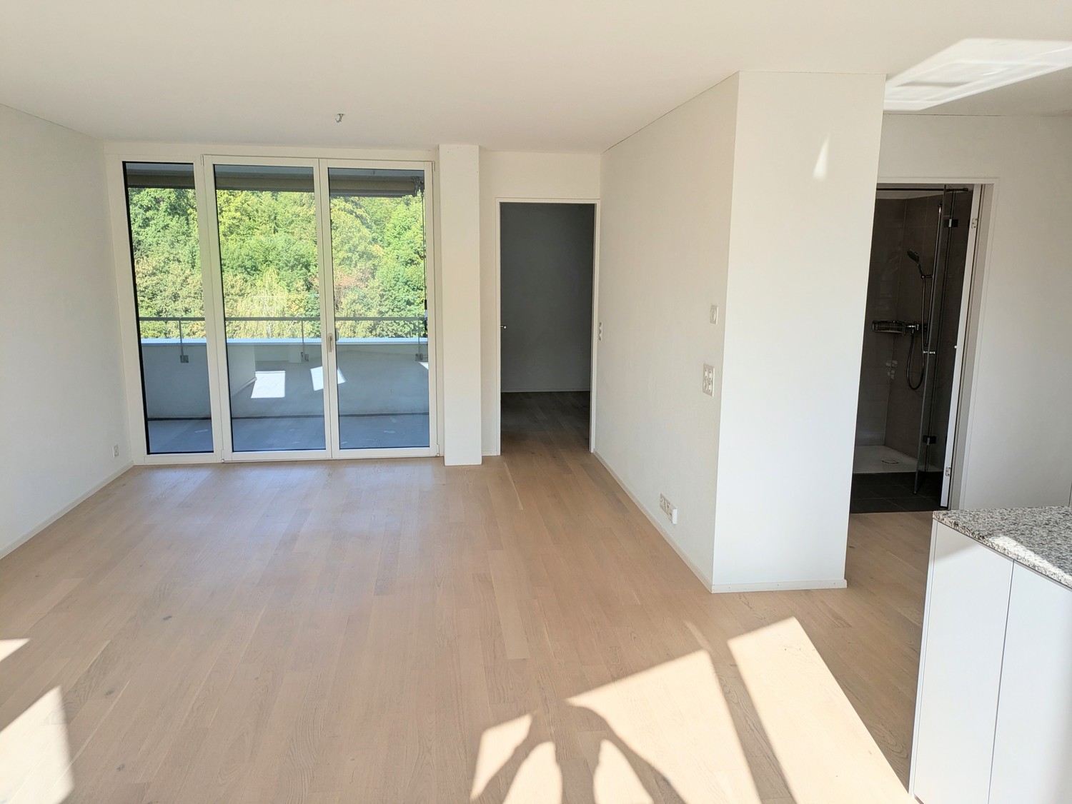 Room in a shared flat