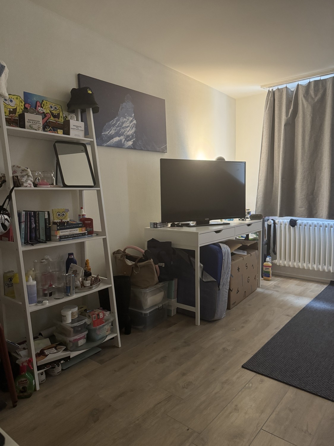 Room in a shared flat