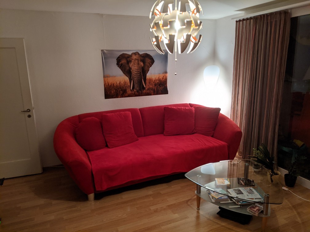Room in a shared flat