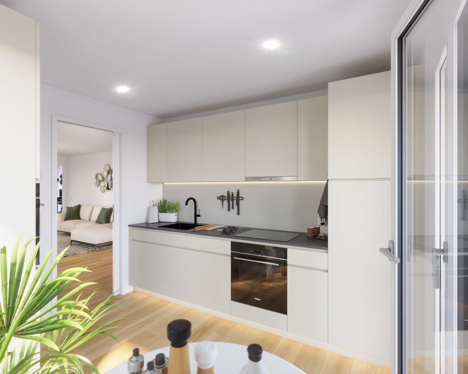 2 ½ rooms apartment