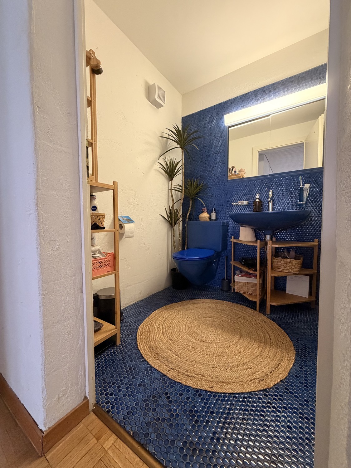 2 ½ Zimmer Wohnung