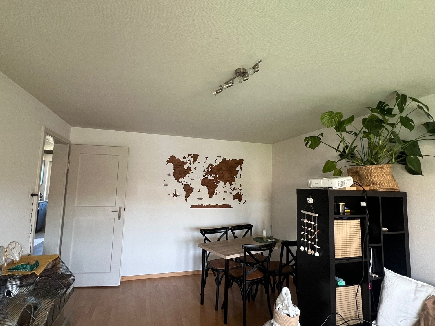 Room in a shared flat