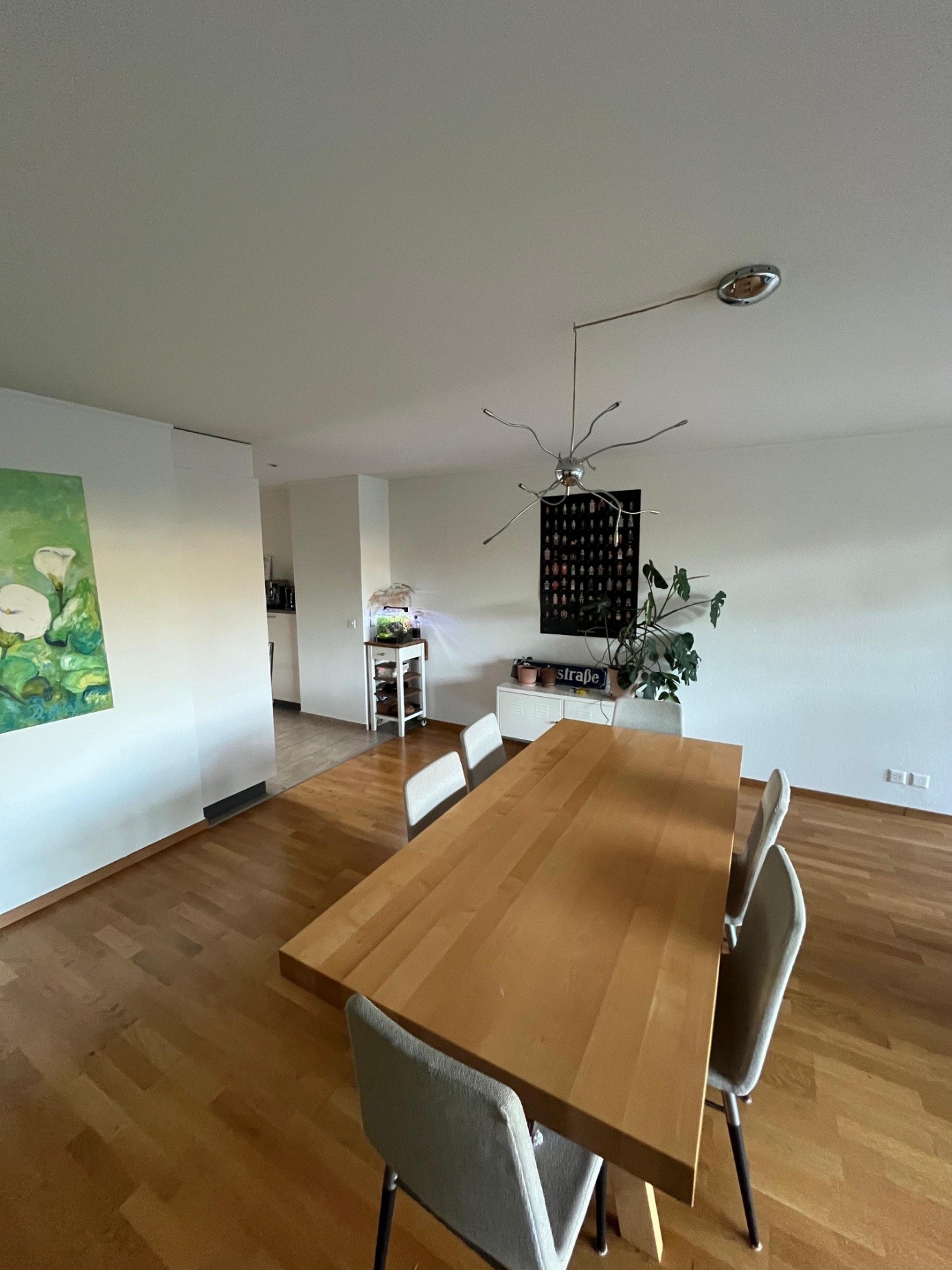 5 ½ rooms apartment