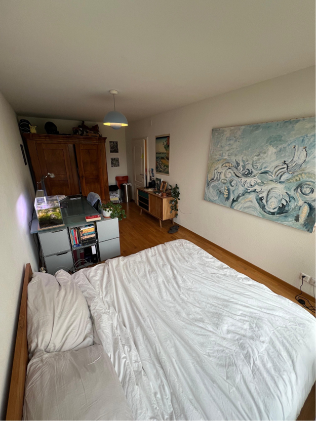 5 ½ rooms apartment