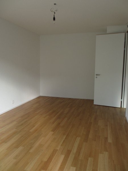 3 ½ rooms duplex