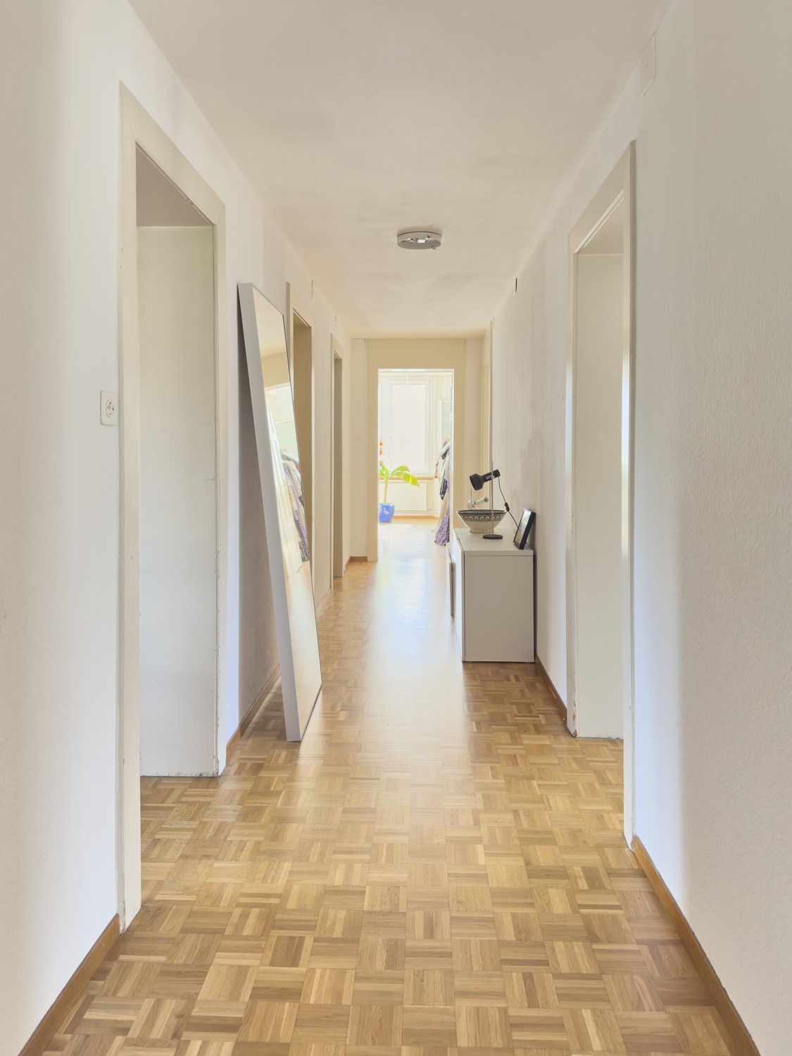appartement 1 pièce