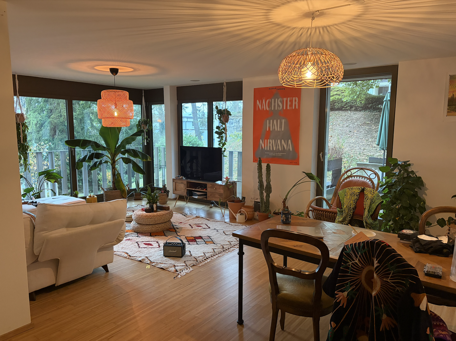 Appartement de 3 ½ pièces
