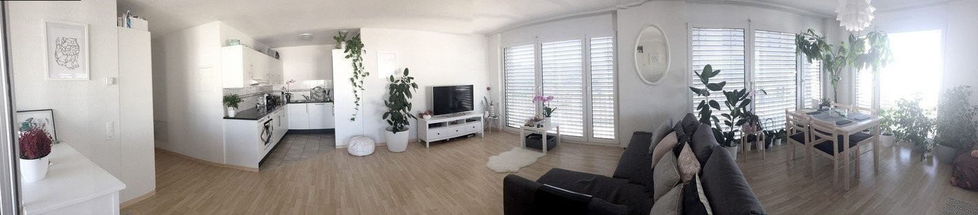 2 ½ Zimmer Wohnung