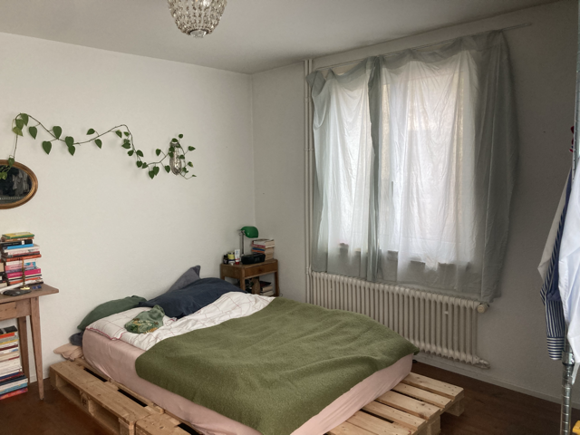 Room in a shared flat