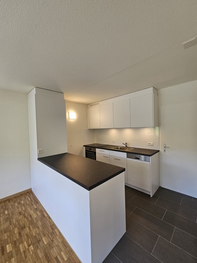 2 ½ rooms apartment (3)