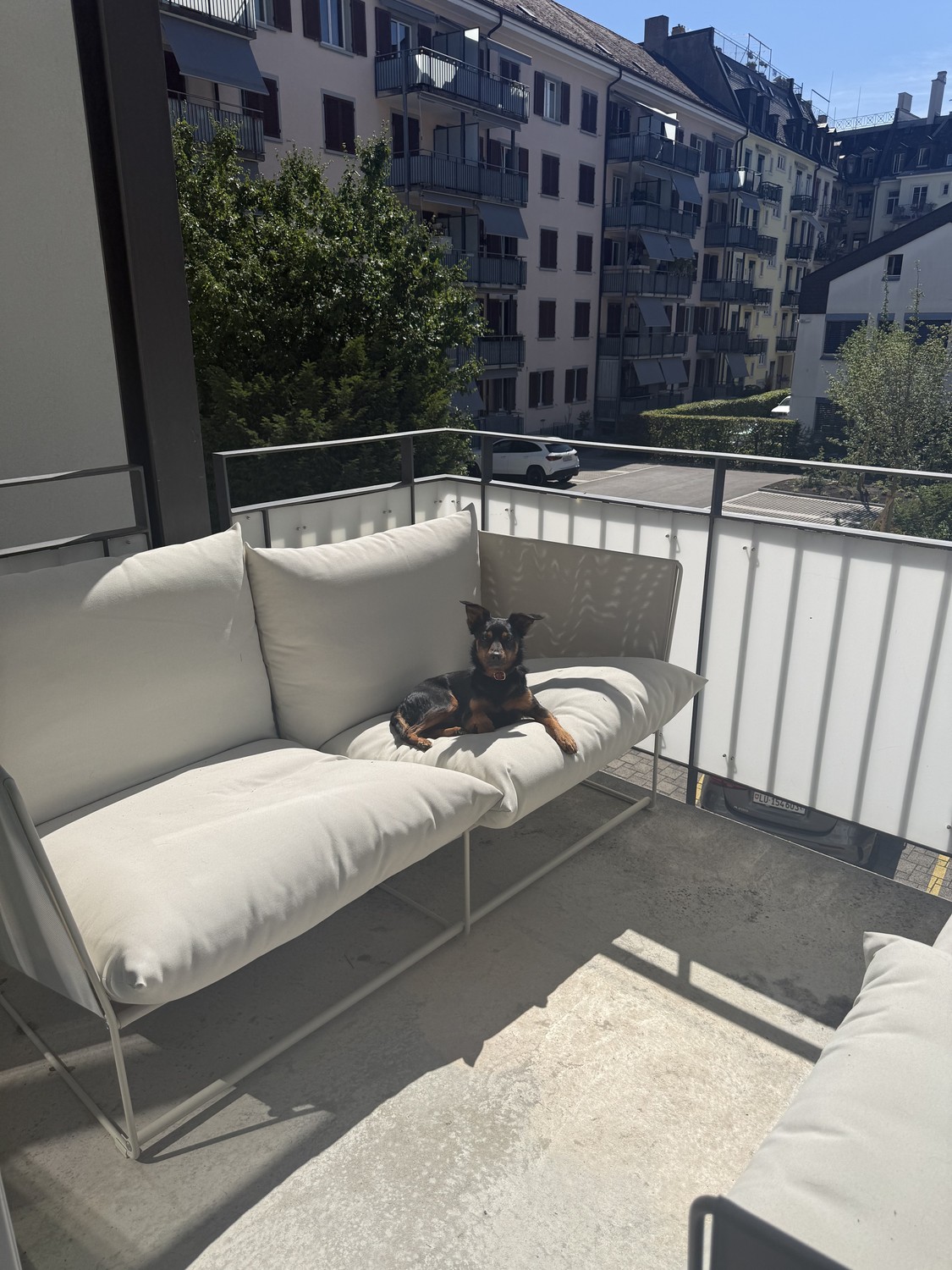 appartement de 1 ½ pièce