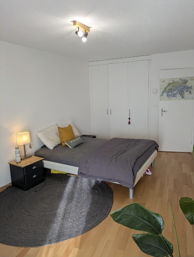 Room in a shared flat