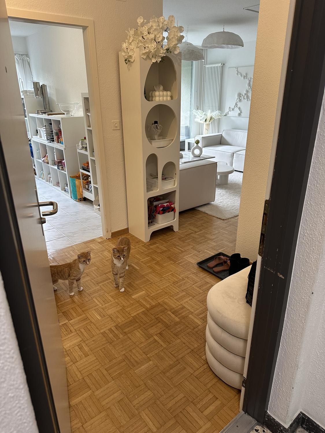 3 ½ rooms apartment, photo 8 of 8