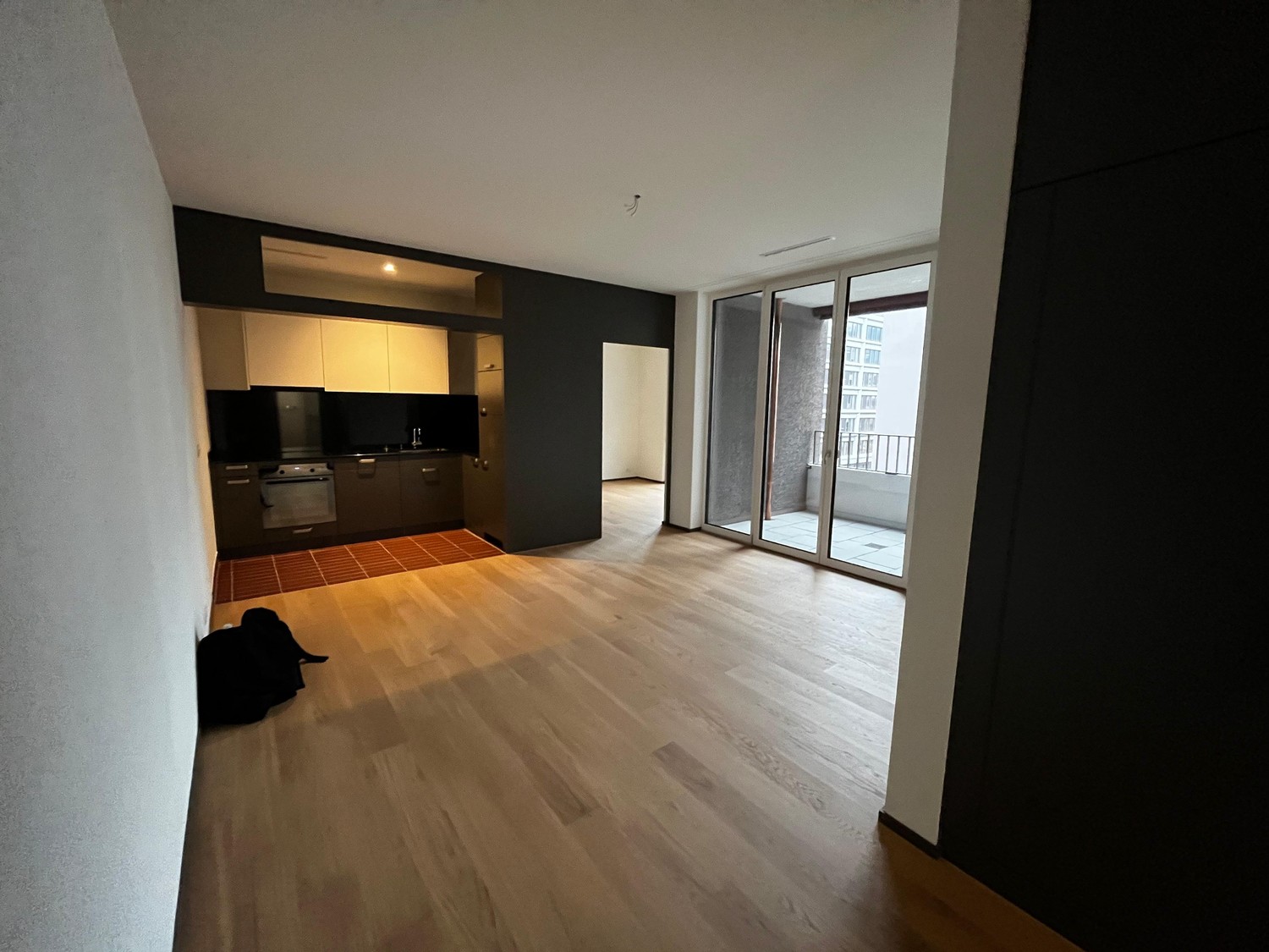 Appartement de 1 ½ pièce