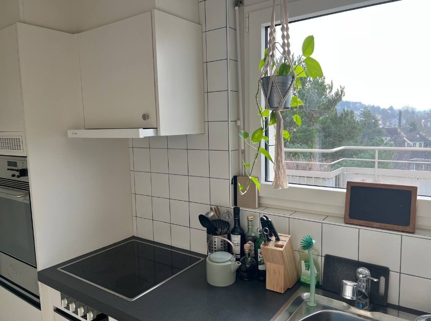 Appartement de 2 ½ pièces