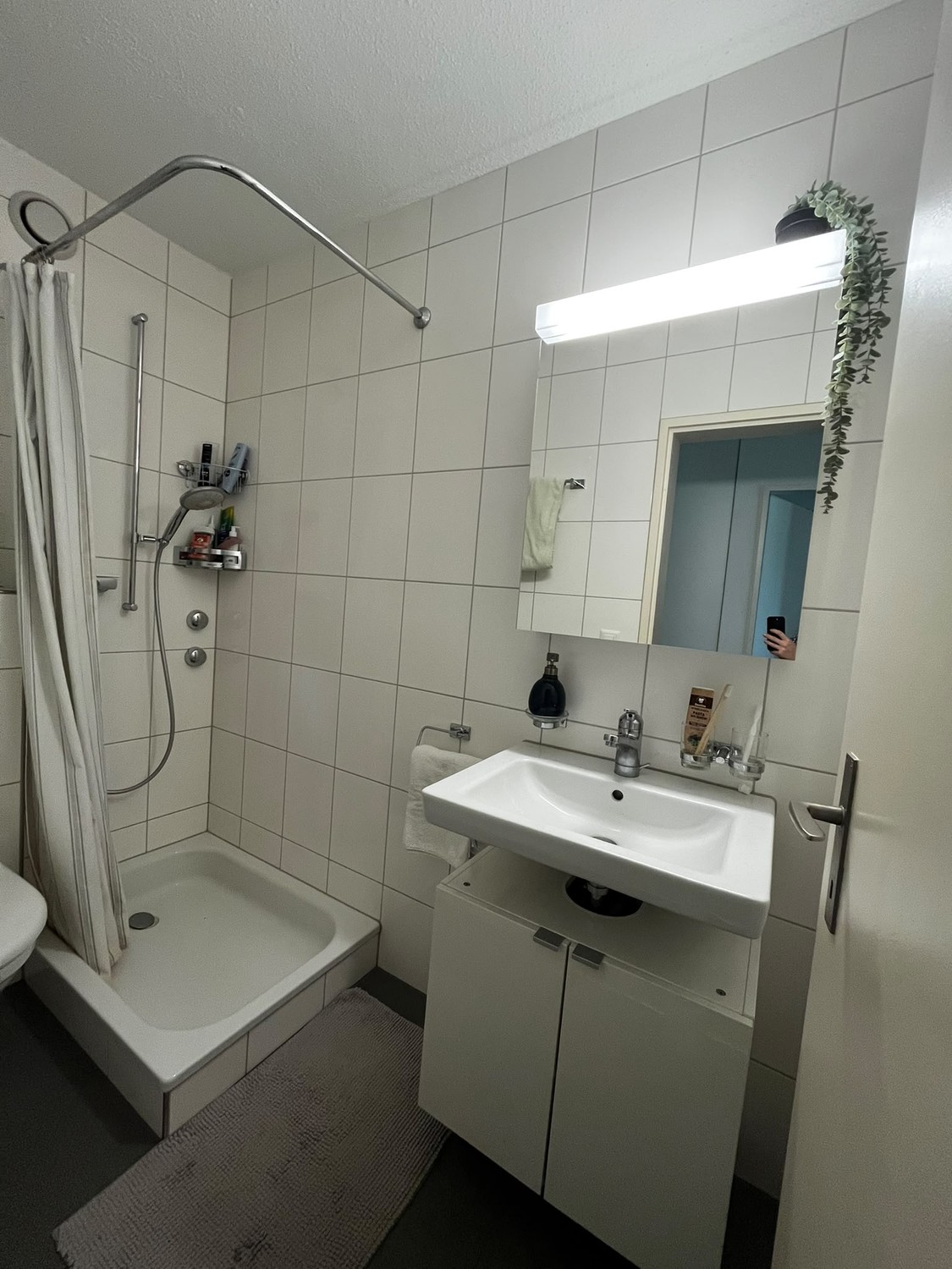 2 ½ Zimmer Wohnung