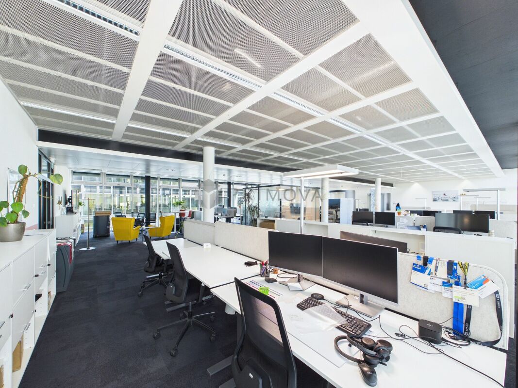 417m² de bureau