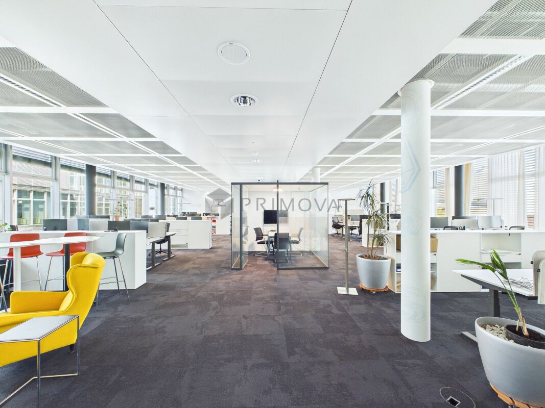 417m² de bureau
