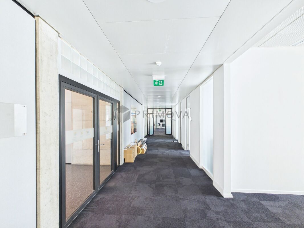 417m² commerciale