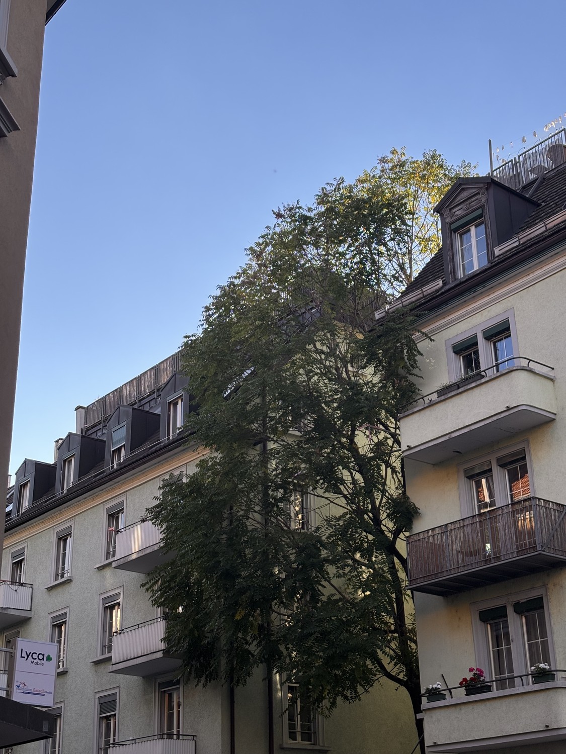 Appartement de 2 ½ pièces