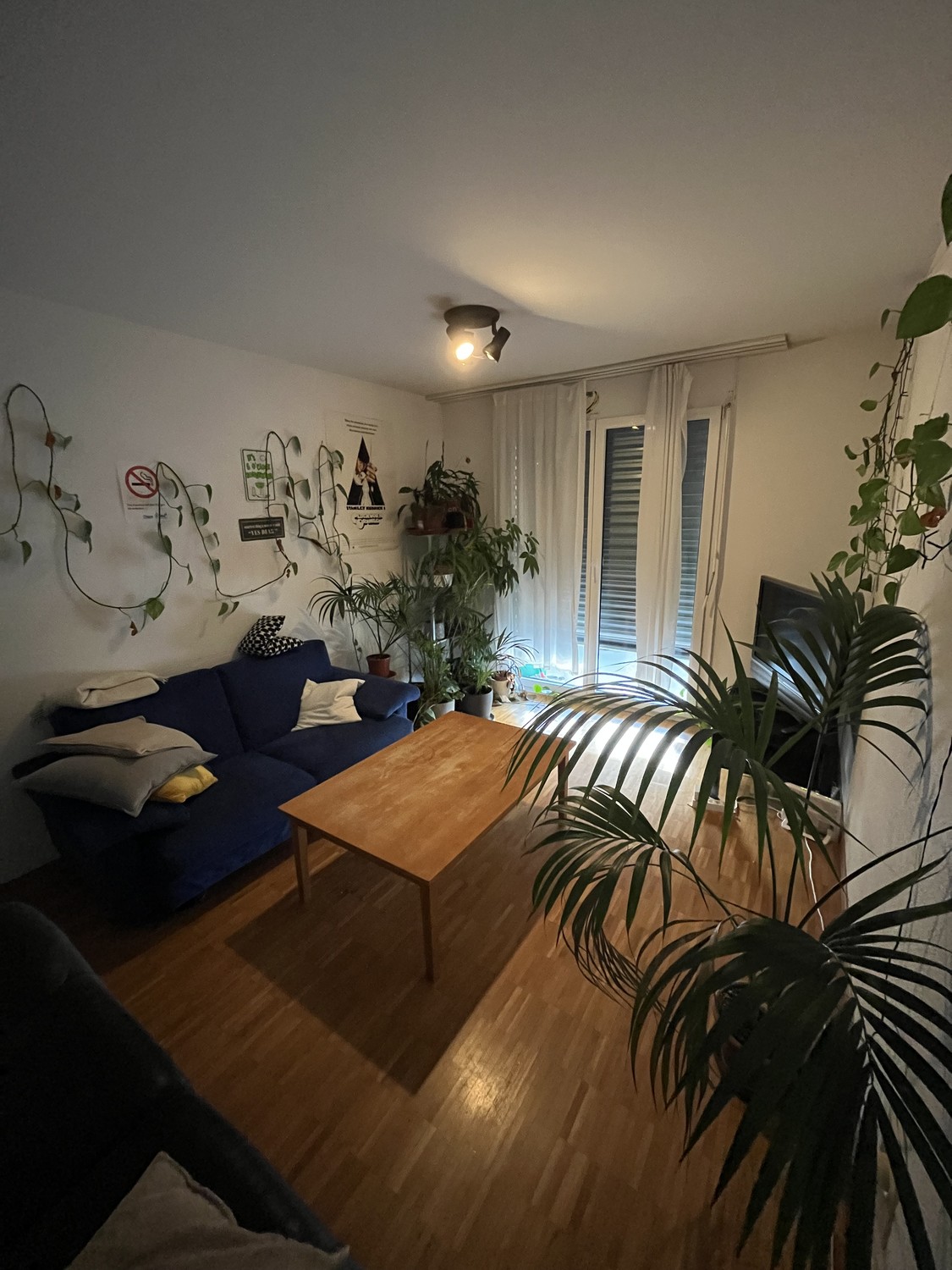 Zimmer in einer WG