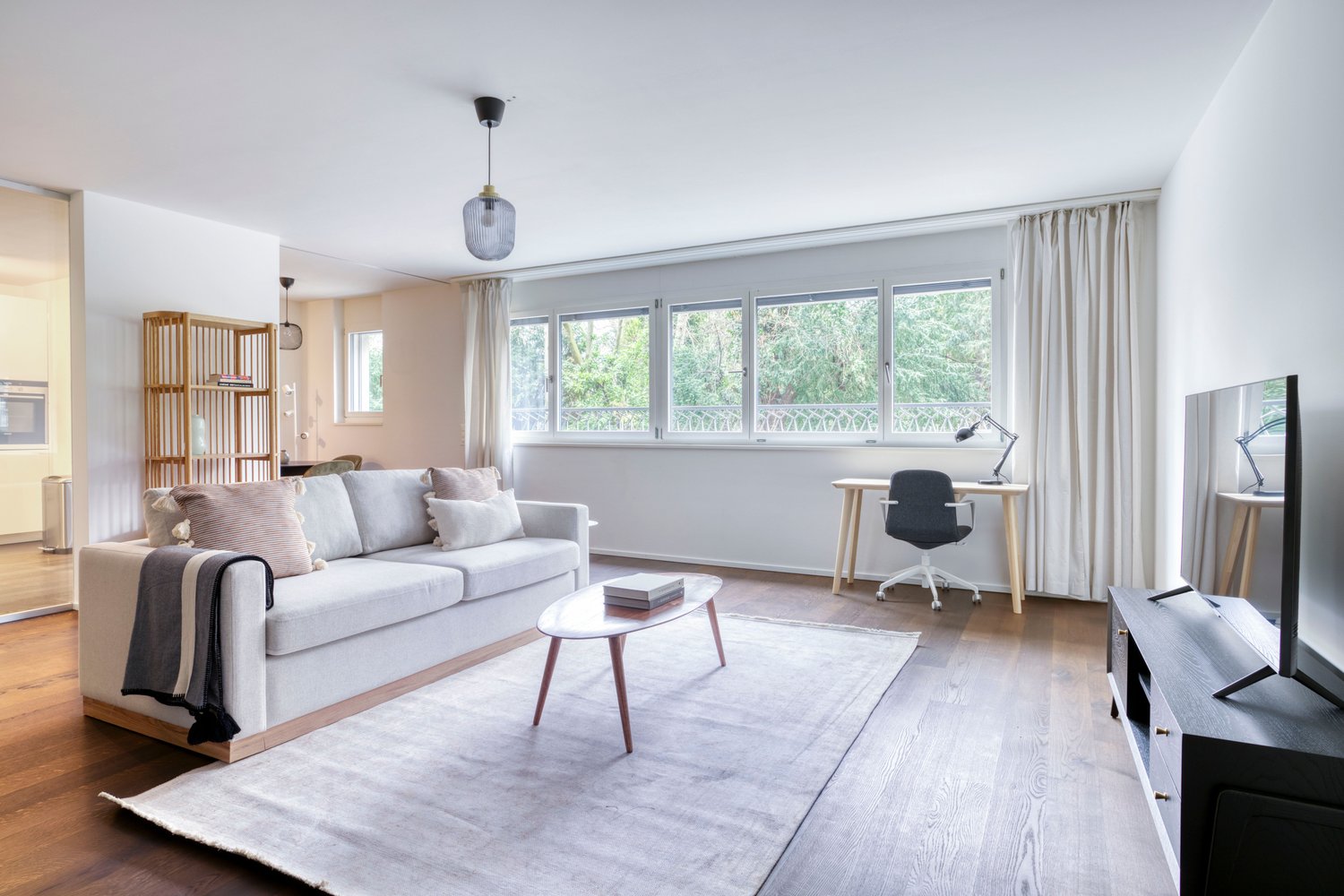 Appartement de 3 ½ pièces