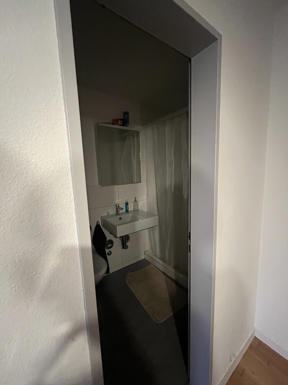 Room in a shared flat