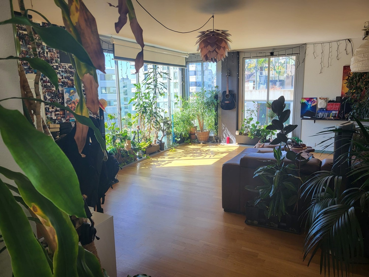 Appartement de 2 ½ pièces