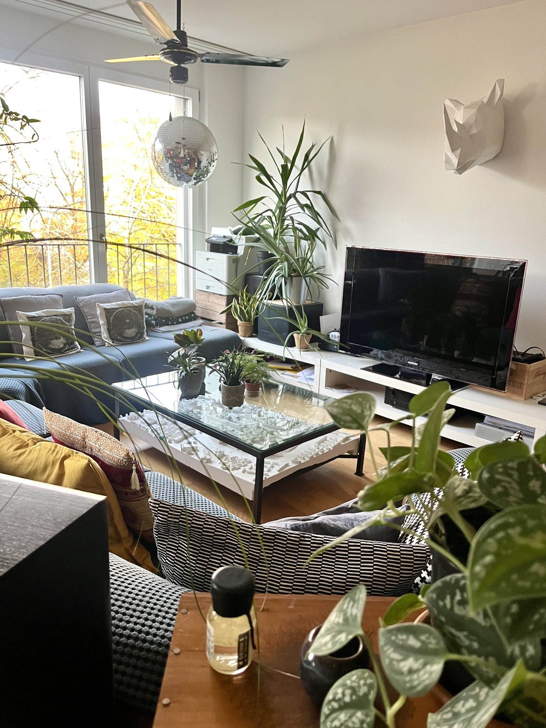 Chambre en colocation